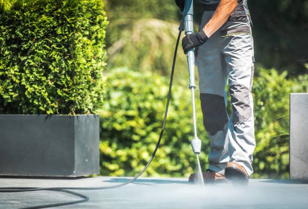  Richton Park, IL Pressure Washing Pros