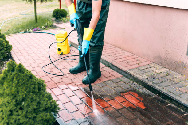 Best Solar Panel Cleaning  in Richton Park, IL