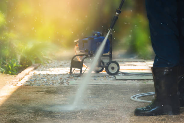 Best Animal Enclosure Cleaning  in Richton Park, IL